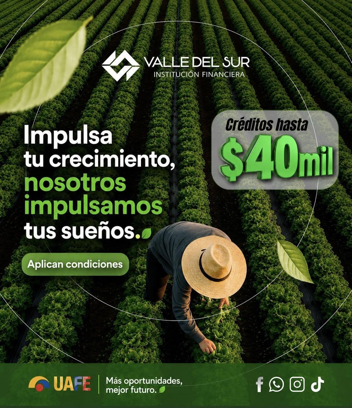 Fotografía 2 del proyecto Valle Del Sur